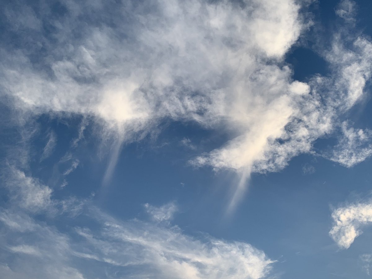 荒木健太郎 در توییتر 雲から生えたしっぽ 低温な環境の高い空で液体のまま過冷却になっているモクモクした雲が 固体の氷に相変化 して成長しながら落下してできた尾流雲 びりゅううん がおる なめらかでシュッてしてる オシャレな空である