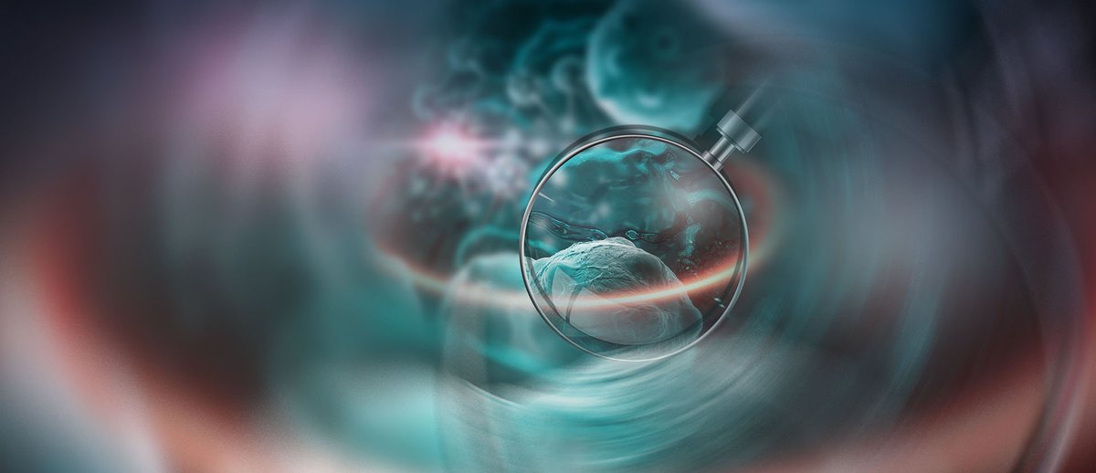 lifesciences_GE's tweet image. In this presentation video, Andres Hurtado-Lorenzo highlights current advances towards the integration of clinical and #MolecularPhenotyping for early prediction of complicated disease ow.ly/GvvP30oR0Ct