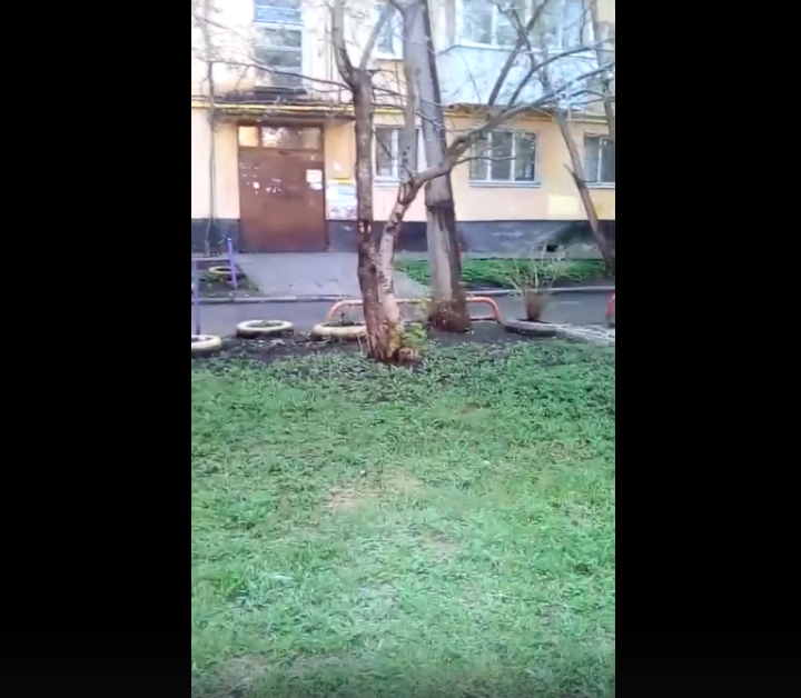 fivepublic's tweet image. В «Типичный Екатеринбург» обратилась с проблемой подписчица Кристина. На Космонавтов, 29 и 29б, подвал переполнен кошками, а никто из служб не берется помочь с этим. Мало того, кошек подкармливают местная женщина: vk.com/wall-32182751_…