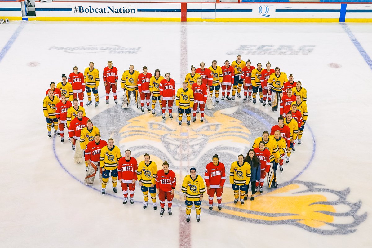 QU_WIH's tweet photo. Our program takes pride raising awareness for mental health initiatives every season with our annual Do It For Daron game! @difdroyal 

It's bigger than hockey 💜 #20DaysofWOW https://t.co/RCC013hy6d