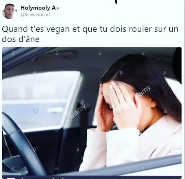 PhotoHumour's tweet photo. https://t.co/XoYarkXQvZ