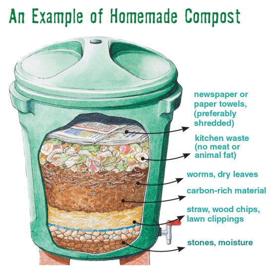 #TBT Compost: Your Trash, Nature's Treasure! @ACSChemMatters #ChemMatters #GreenChemistry ow.ly/tIWI30oJqfc