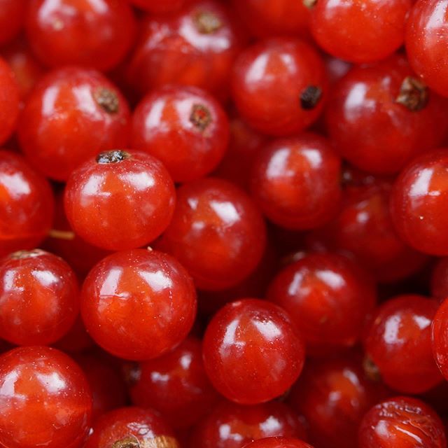 MemoizePerfume's tweet photo. Red berries can be found in the top note of Caritas, a new #scent in the Light Range collection.
#memoizelondon #memoizeperfume #caritas #redberries #lightrange #heavenlyvirtues #luxuryperfume #nichefragrance #eaudeparfum #fragrance #perfume #scent https://t.co/zxp3LjF4Cv https://t.co/Yr3QEChMU9