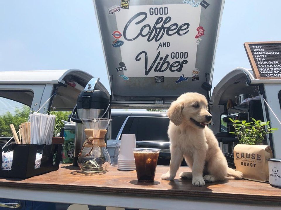 It’s a great day for a refreshing pick me [p]up! 🐶 🚎 ☕️☀️

#coffee #causes #puppies #icedcoffee #goodcoffee #goodvibes #coffeewithacause #travelingbus #baristadaily #vw