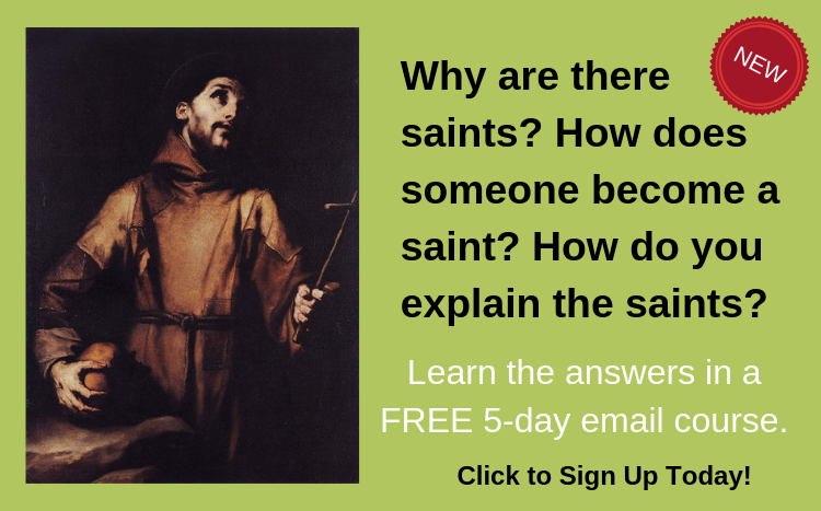 SaintsLetters's tweet photo. Why are there saints? How does someone become a saint? How do you explain the saints? Learn the answers to these questions and much more in a FREE 5-day email course. https://t.co/brT4m9beGX #freeemailcourse #CatholicTwitter #lifelonglearning #CatholicTeachers https://t.co/bPTYKkbf81