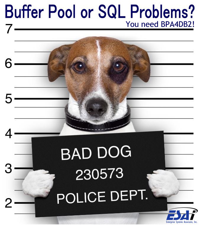 ESAi Orlando tweet media