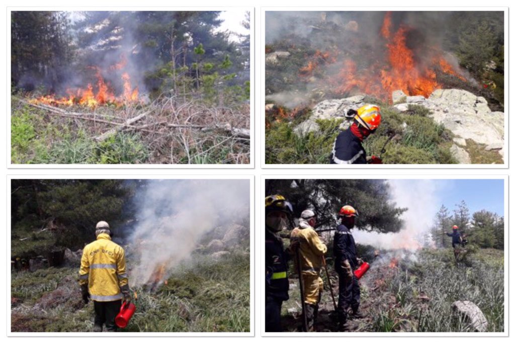 sis_2b's tweet image. Brûlage dirigé DFCI🔥🔥 1Ha commune #Albertacce Niolu 
Prévention Incendie #PRMF 
@sdis2b #FORSAP @ctcorse @ONF_Officiel #UIISC5 @SecCivileFrance 👨‍🚒
✳️protection du milieu forestier
✳️création de coupure de combustibles 
✳️préparation de la saison des feux 2019
👏aux intervenants