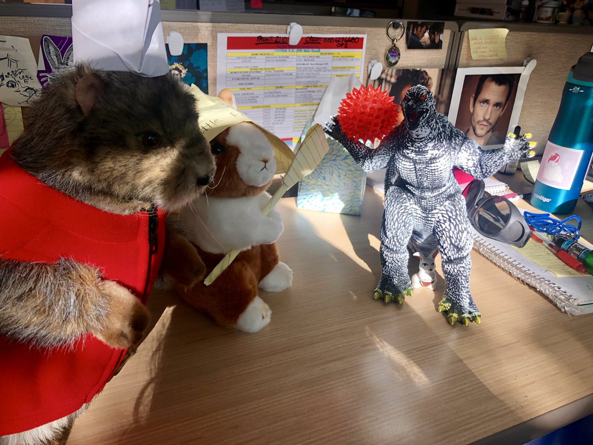 wendigobunny's tweet photo. gonna sit on my lap and save the world. ππππππππ#ILoveGodzilla #FriendToAll #godzillakingofthemonsters #RustyTheMarmot #SimonTheRabbit #marmotsontheloose #rabbitsofinstagram https://t.co/UdUoncedlj