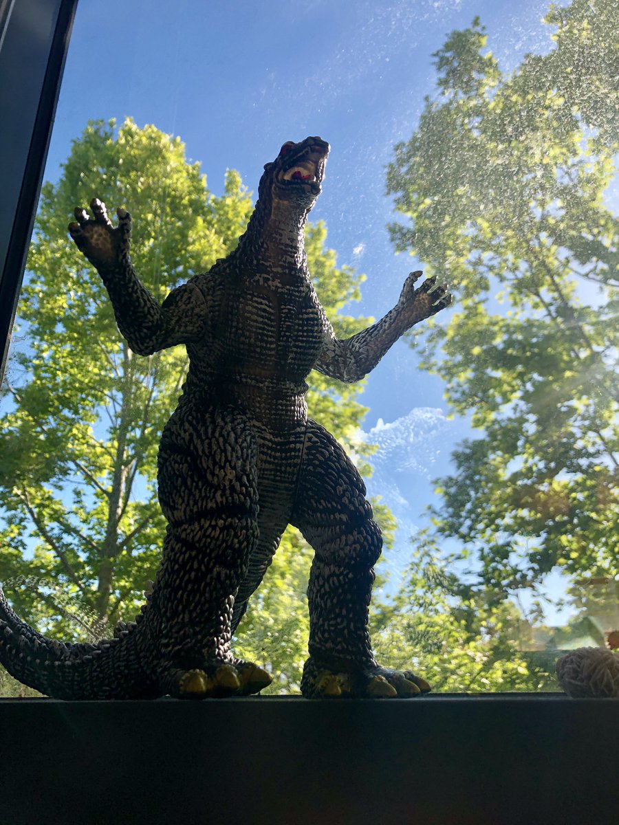 wendigobunny's tweet photo. gonna sit on my lap and save the world. ππππππππ#ILoveGodzilla #FriendToAll #godzillakingofthemonsters #RustyTheMarmot #SimonTheRabbit #marmotsontheloose #rabbitsofinstagram https://t.co/UdUoncedlj