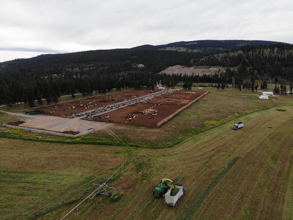 co_jamieson's tweet photo. A few shots of 1st cut https://t.co/cOuZ1NzagD