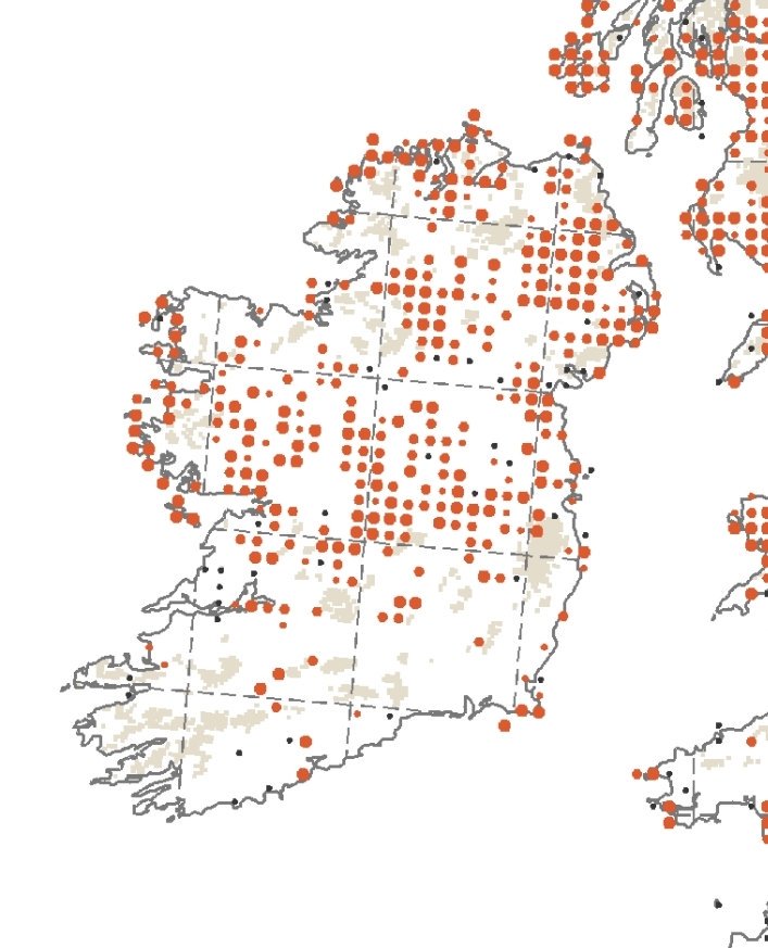 LapwingSurvey's tweet photo. #ProjectLapwing records compared to 2011 @_BTO #BirdAtlas map for #Lapwing distribution.Ignoring NI (we have focused our call on ROI) and some bias (due to population/no of recorders?) pattern is pretty spot on. #ProjectLapwing has <200 records so far and not directly comparable! https://t.co/wmMmewh5Kj