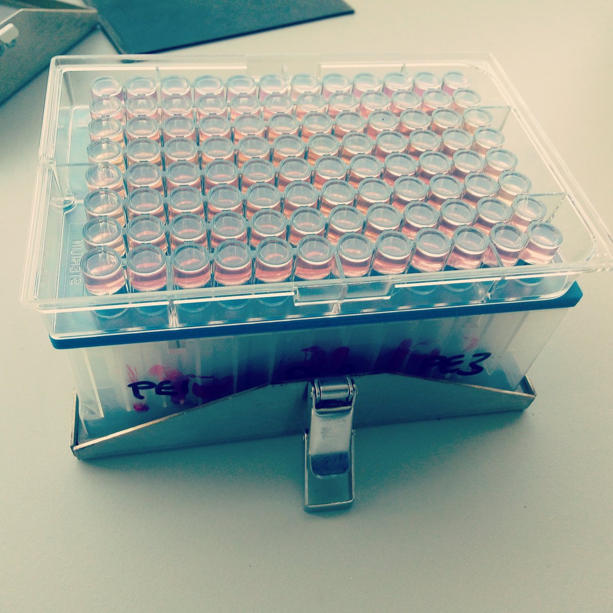 _rachelhasler_'s tweet photo. Great to learn new methods.. Measuring #soil respiration.. Just what are those #microbes up to!?
#soilscience #CO2 #lab #microresp  #appliedscience https://t.co/Qik2f0xmuK