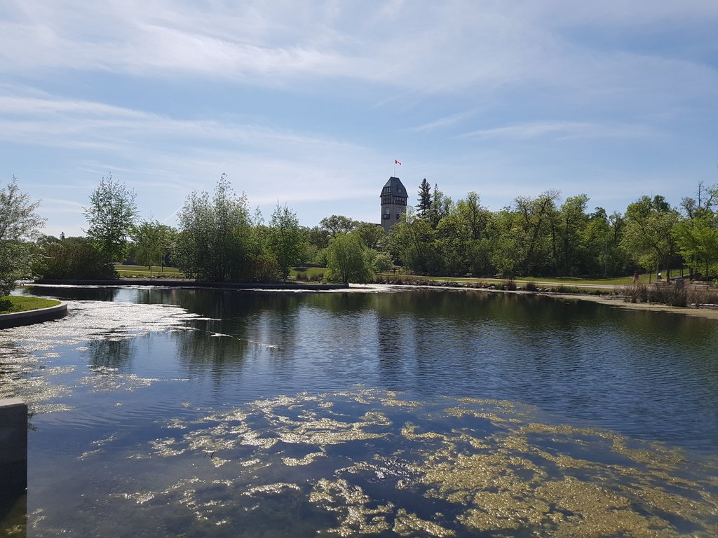 ilcspe's tweet photo. 17 km cycle and we made it. Now we get to explore the park, eat Lunch, play games and get some icecream before our route back.  @islandLRSD @niakwaLRSD @shamrockLRSD https://t.co/xLZm25P1BB