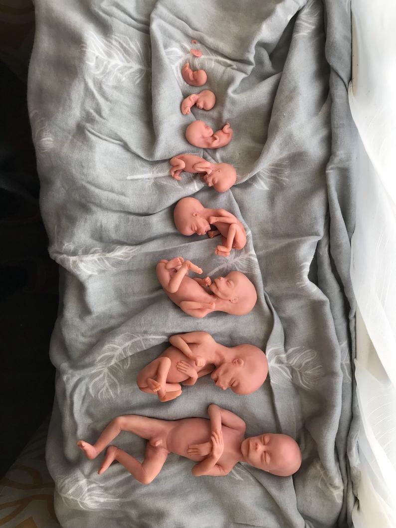 baby dolls with real body parts