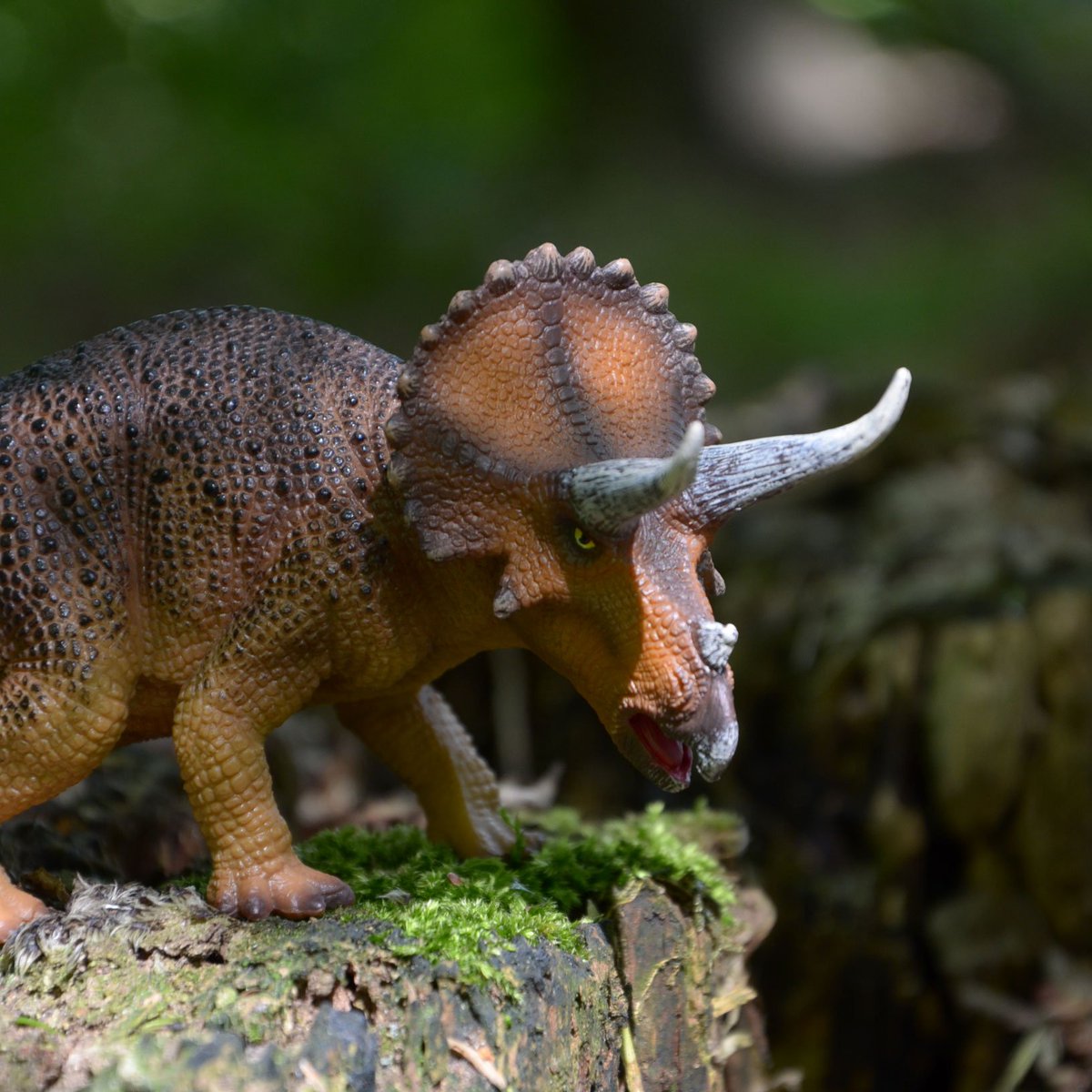 mojo_fun's tweet image. Superb image of the New Mojo Triceratops from our friend @nightlioness_collections She really knows how to bring the best out of our models! 😍 If you've got some Mojo Photography you'd like us to share with the world get in touch info@mojofun.eu ✉️ #mojofun