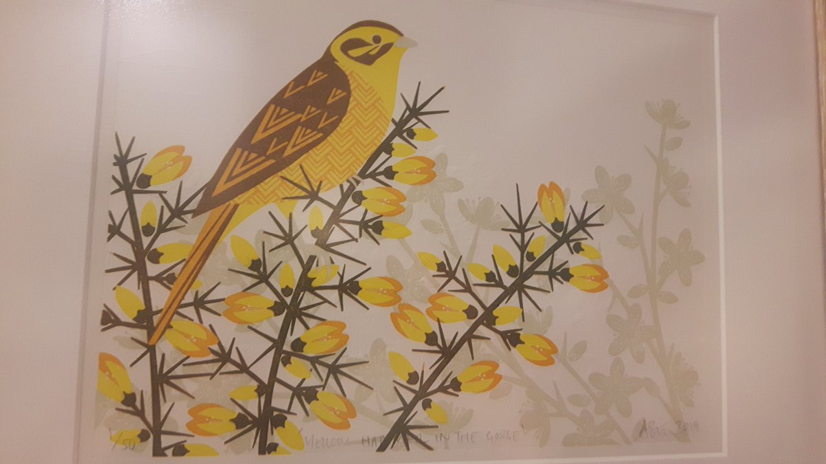 Gorgeous new limited edition (50) lino/ hand embossed paper work from Hassocks-based Ashley Hutchinson now in Skylark, including "Yellowhammer in the Gorse" and "Greenfinch in the Hazel". #skylarklewes #lewesart #independentbookshops