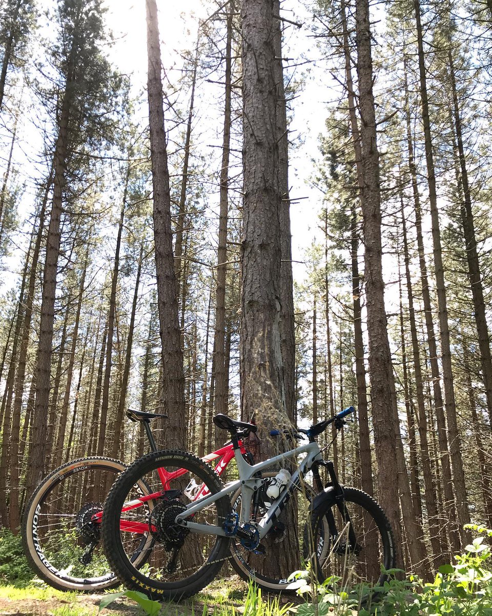 Andy and Adam out enjoying their lunch break in the local woods. 
#trekremedy #trektopfuel  #sheffieldissuper  #theoutdoorcity — at Wharncliffe Woods.