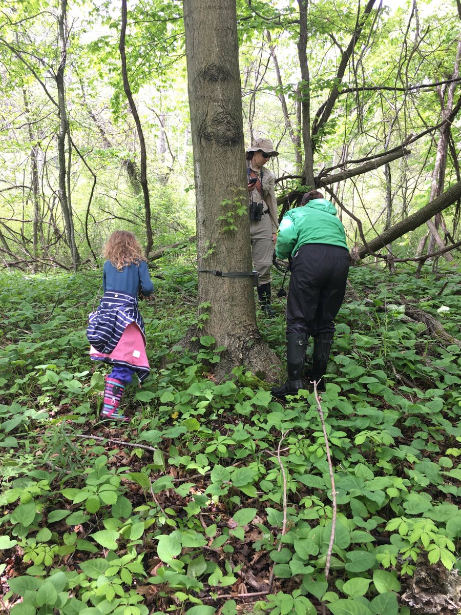 Learning all about camera trapping with <a href="/GowElizabeth/">Dr. Elizabeth Gow</a> <a href="/hannnahclyde/">Hannah Clyde</a> ☺️