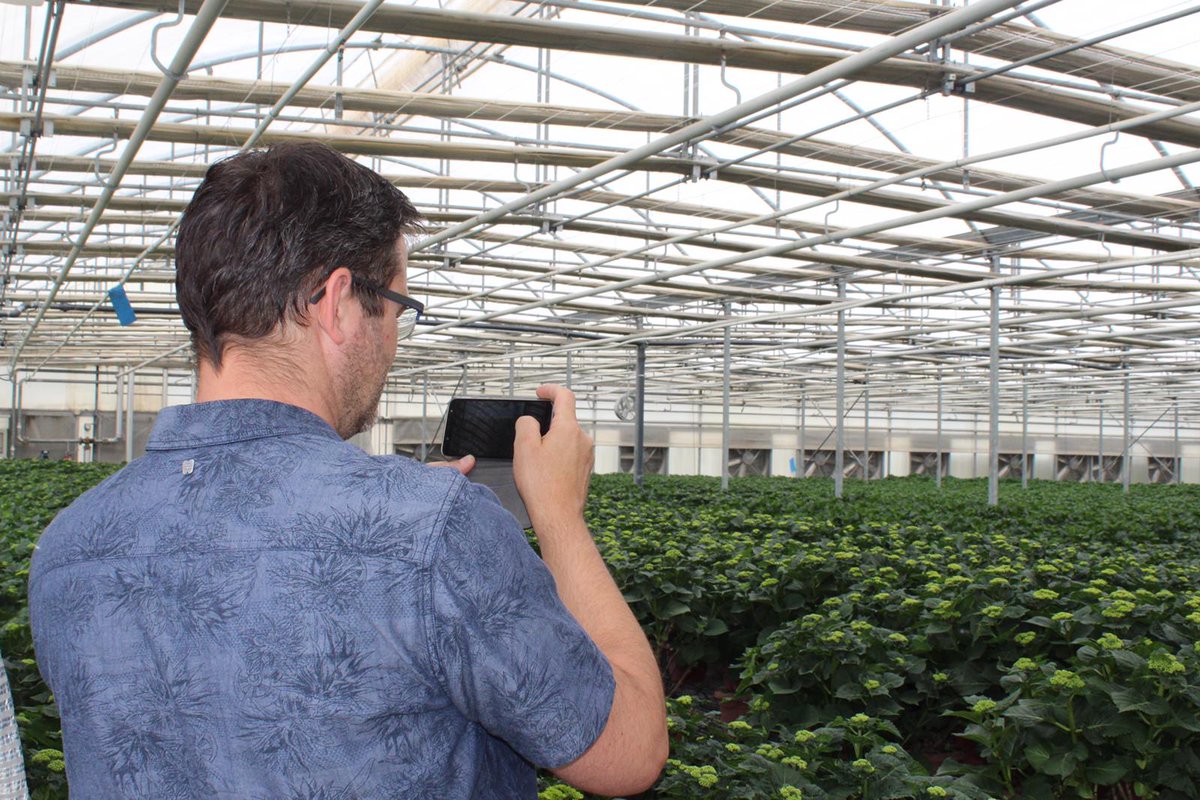OZ Planten BV tweet media