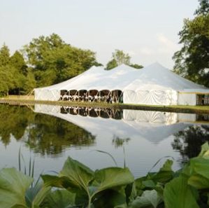 frame_marquees's tweet image. Create the most memorable moments with our selection of Tents. Contact us for a free quote!
#tents #functiontents #eventtents #selectionoftents