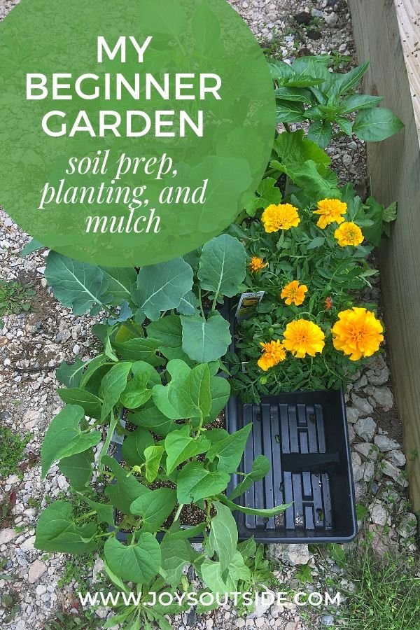 #gardener Making progress on my garden! Everything is planted! Except for getting hit by some frost earlier this week, most things seem to be thriving! #squarefootgarden See how I did it in my new blog post: joysoutside.com/garden-prep-pl…