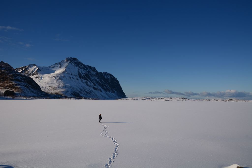McCabeWorldTvl's tweet photo. Breathtaking views in Norway feature encompassing mountains, glaciers and deep coastal fjords. Oslo, the capital is where you will find green spaces and museums! The Oslo Viking Ship Museum is a must see for clients who are traveling to Norway as first timers. Call us today! https://t.co/1gxHkXbdYN
