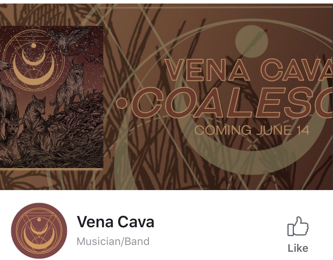 SAWCE the band tweet media