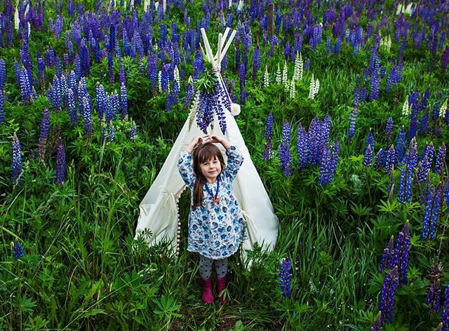 Two years ago, on a day like today, except that today is 30 C and there was max 18 C back then!
We are getting bigger, our summers are getting hotter, but I still remember the feeling when you are in a meadow full of wildflowers 🏵️🏵️🏵️🌿
Picture by @r… bit.ly/2WJkToE