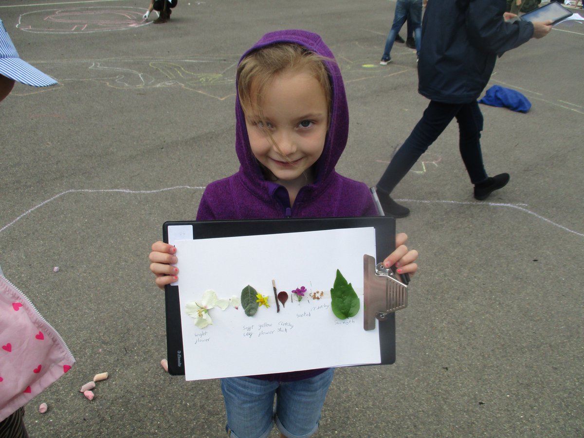 TheHermitage's tweet photo. We have been loving our #outdoorlearning day! Lots of different fun activities - including #art, #music, #pond dipping, #HapaZome #Treehuggin and more! ๐๐ณ๐ป https://t.co/ggUKdvpAN7
