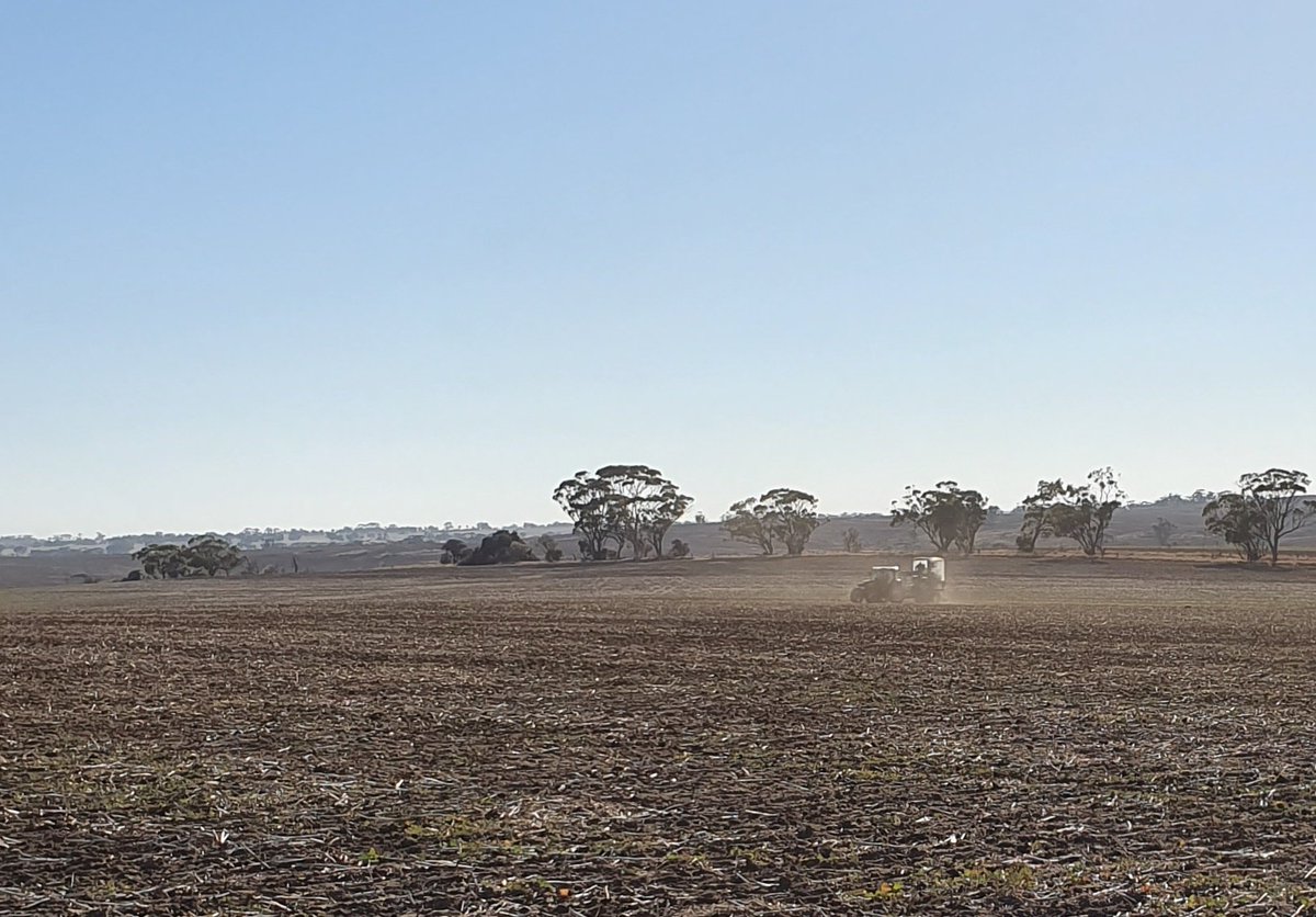 It wouldnt be seeding without an autoelec call out. Of course with only 2 hrs of seeding left with this machine.

And shout out to our dedicated tech and breeding team getting plot seeding done in terrible dusty conditions, bring on the rain and less wind