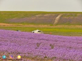 فديت عيونك (@85sult) on Twitter photo 