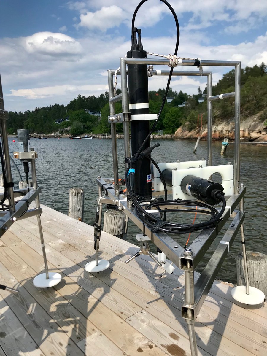 Just retrieved two aquatic #eddycovariance systems from the #Oslofjorden investigating #kelp decomposing in situ for #kelppro ⁦@NIVAkelp⁩ ⁦@NIVAforskning⁩ ⁦@KMAttard⁩ ⁦@nordcee⁩ ⁦@forskningsradet⁩