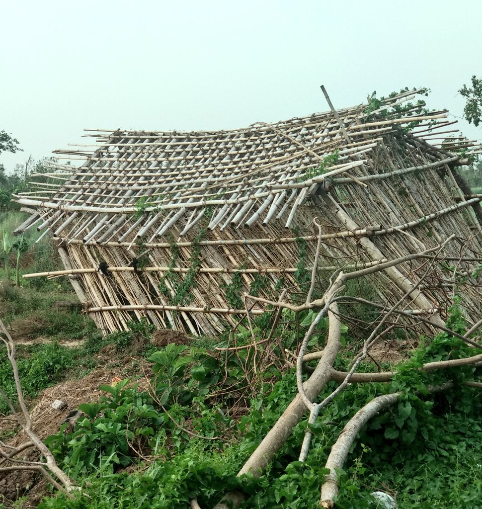 biswajitmohanty's tweet image. #CycloneFaniUpdates  widespread devastation of mud houses in Gop block area Nua Kholamara GP has made people homeless. They spend dark nights in summer storms since power restoration is not happening before June end.Desperate to escape the harsh sun some hv re-thatched them!