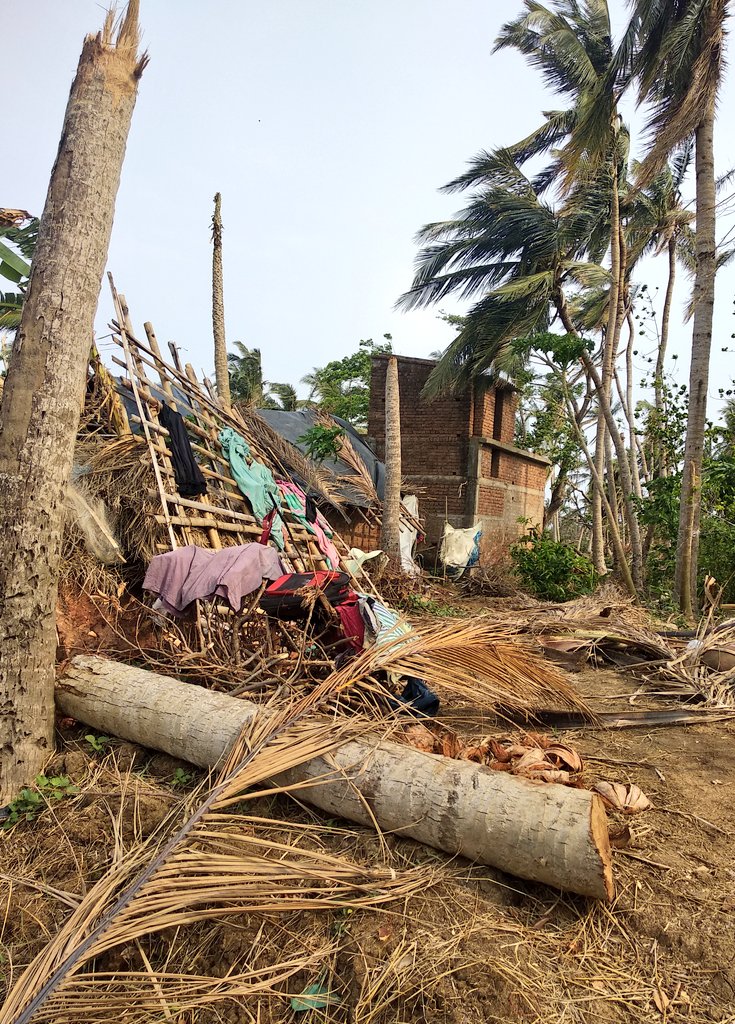 biswajitmohanty's tweet image. #CycloneFaniUpdates  widespread devastation of mud houses in Gop block area Nua Kholamara GP has made people homeless. They spend dark nights in summer storms since power restoration is not happening before June end.Desperate to escape the harsh sun some hv re-thatched them!