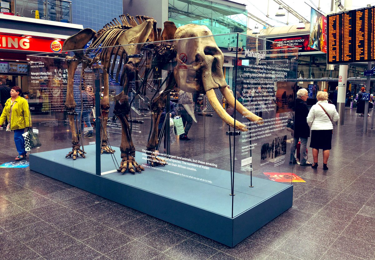 Brilliant 👏🏼

Well done to @ward_esme and the @McrMuseum team for bringing #Maharajah and his amazing story to Piccadilly Station.

#MMHelloFuture