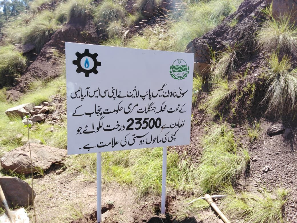 SngplH's tweet photo. A step towards environment conservation https://t.co/uLt3cvWXkP