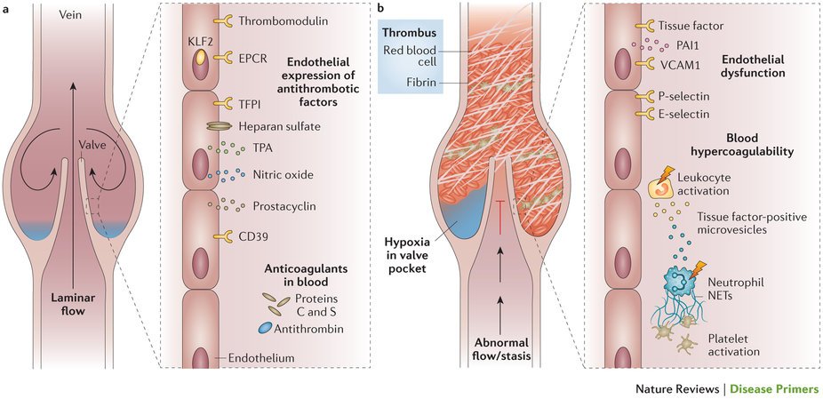 fracture at high temperatures