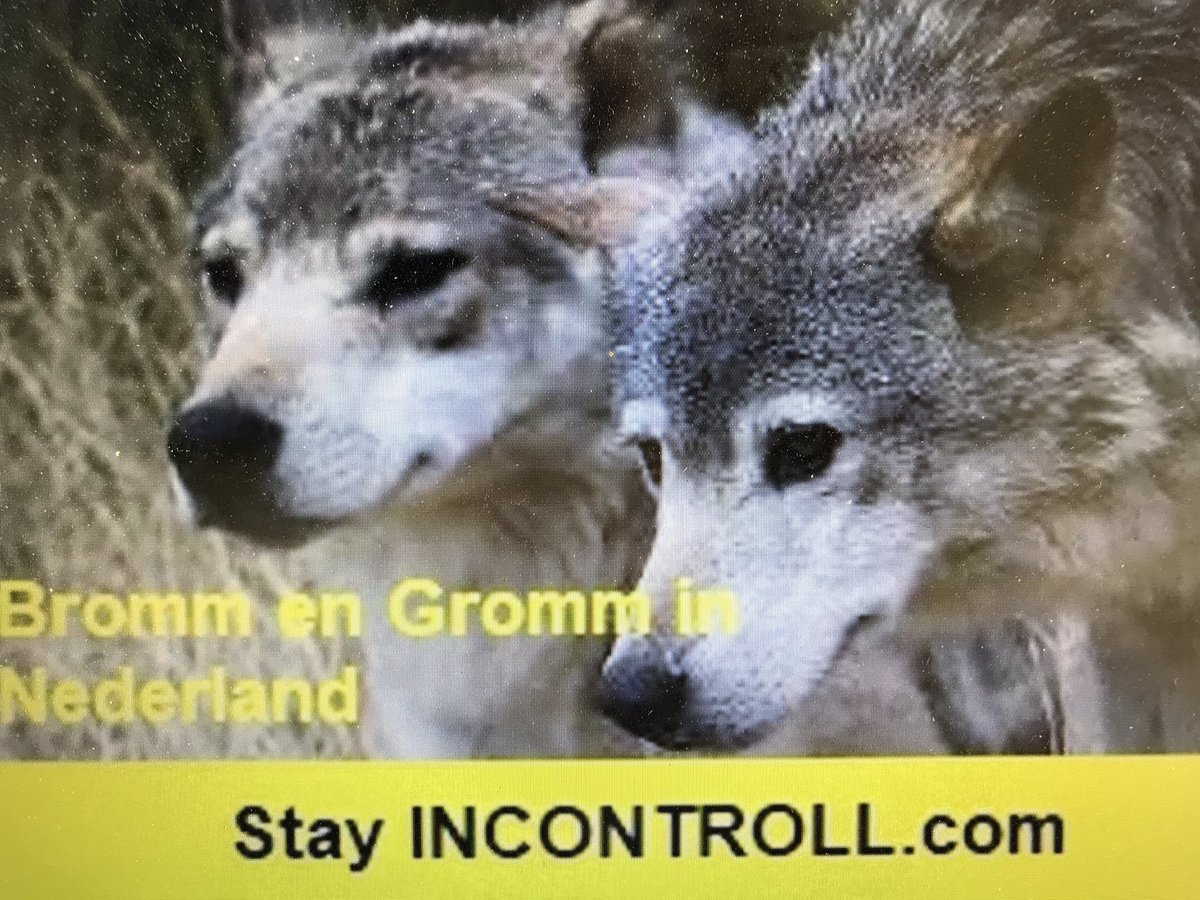 INCONTROLL_COM's tweet photo. https://t.co/LIC30TnuAu