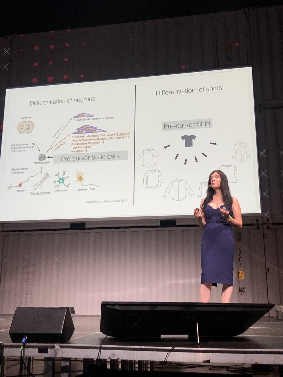 galitariel's tweet photo. @KarissaScience - one of my favourite humans and speakers at #fifteenseconds19 talking about the #science of #gender 🔥🔥🔥 @wethinkahead #gender #womeninscience #rockingthestage #lovethedress #superhuman https://t.co/fjtvxzCeEP