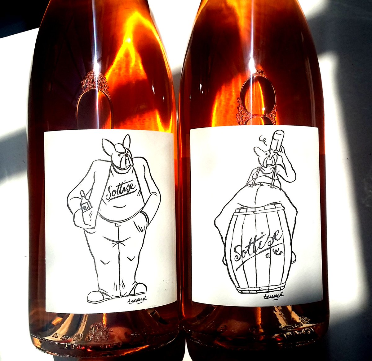 #Sottise
" Quand vas-tu te décider à trouver un métier sérieux ? "
<a href="/Terroirist37/">Le Sot de l'Ange</a> x @TerreurGraphiQ