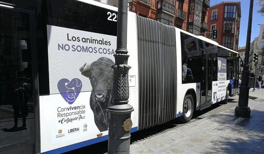 LiberaONG's tweet photo. 🐶 Los perros no son cosas,
🐷 Los cerdos no son cosas,
🐮 Los toros no son cosas,

💜Los animales no son cosas.

#CulturadePaz https://t.co/gh6wyDg8y6