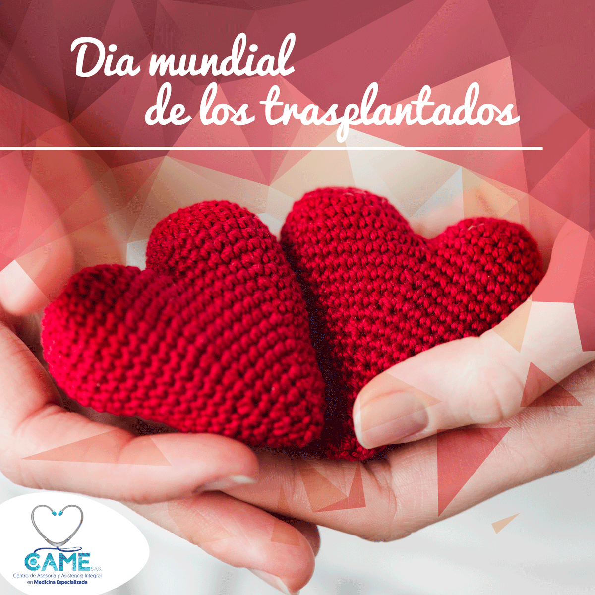 CameIps's tweet photo. ¡Hoy se celebra el Día Mundial de los Trasplantados! El propósito de la celebración de este día es fomentar una cultura de donación de órganos y de esta manera, dar a los pacientes en espera una oportunidad para seguir viviendo #ipscame #diamundialdelostrasplantados https://t.co/m235XYD7ij