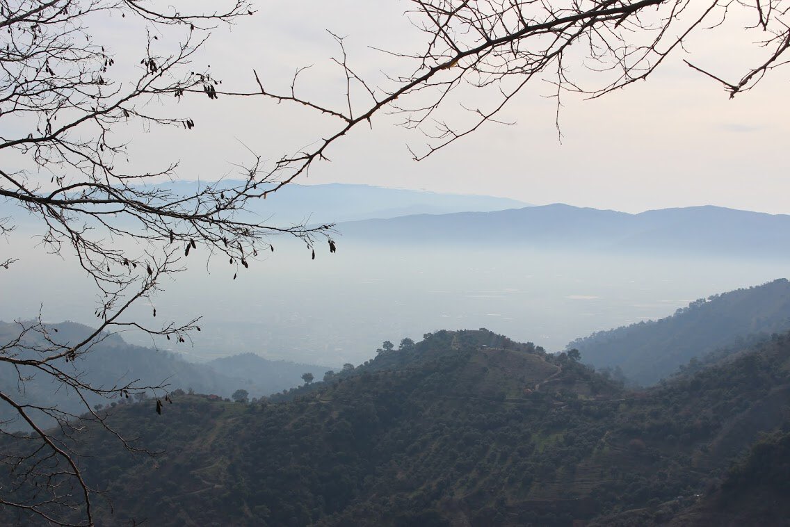 Belki bir Karadeniz değil ama bizim yaylalarımızda da çay bir başka olur♥️ 
#ege #aydın
