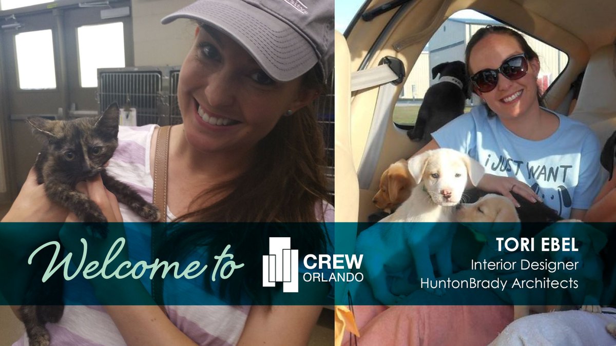 CREW Orlando tweet media