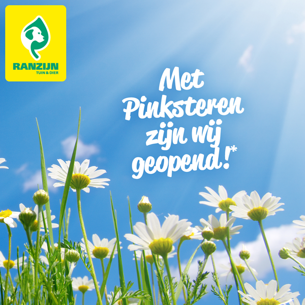 Ook  1e en 2e Pinksterdag is Ranzijn geopend!* Zo kun je op deze vrije dag met het gezin een bezoekje brengen aan onze winkel. Kijk op onze site voor de speciale openingstijden. 
* Ranzijn Amersfoort, de Bilt, Rotterdam en Spijk zijn alleen op 2e Pinksterdag geopend.
