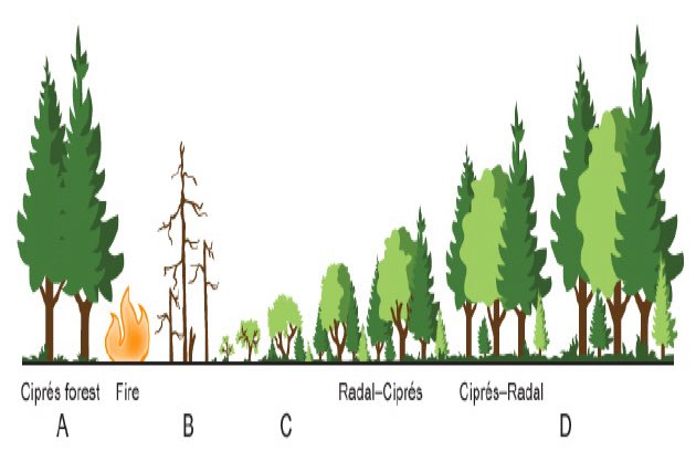 BahariElla's tweet photo. An activity that would help to ensure a suitable environment for future generations is the increase use of biological controls. #leregentsreveiw https://t.co/qSfekPn1HE