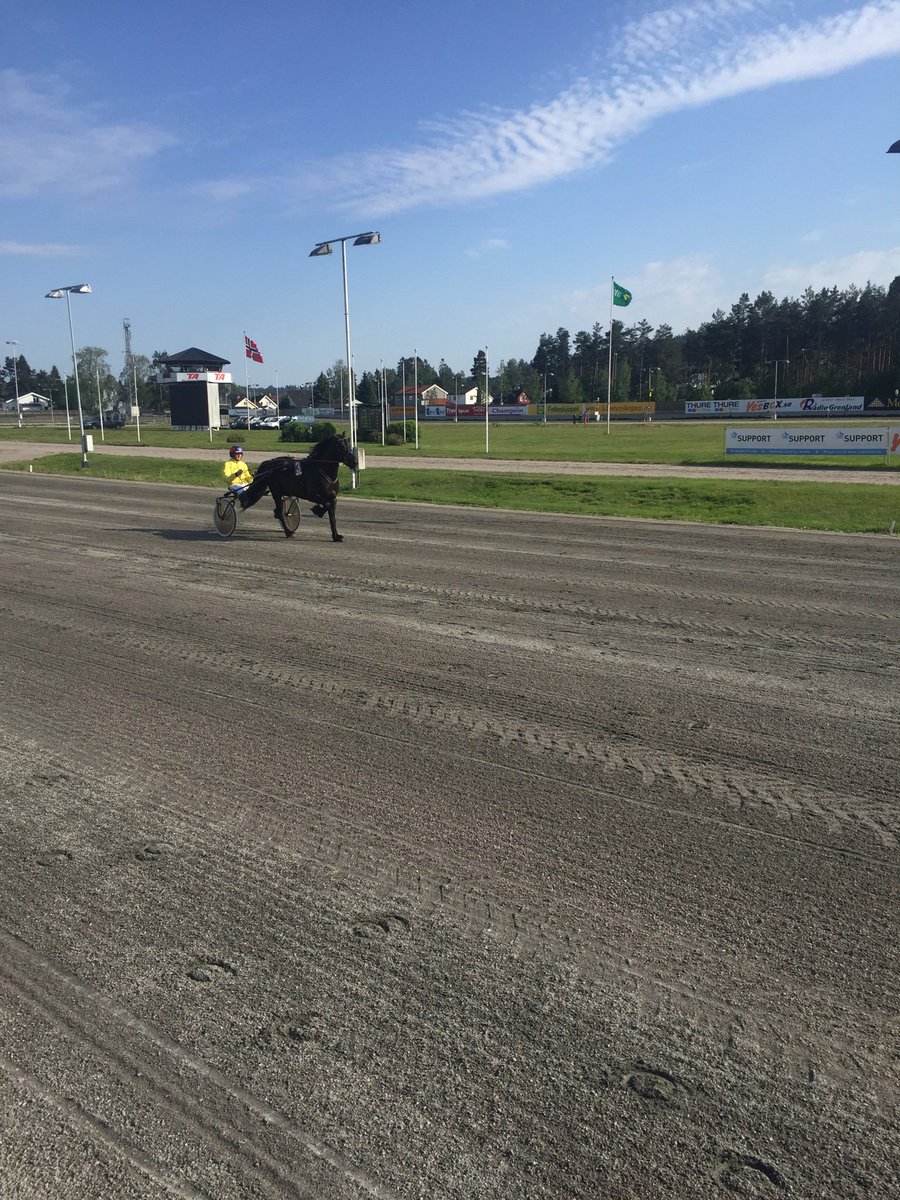 ola slaatsveen tweet media