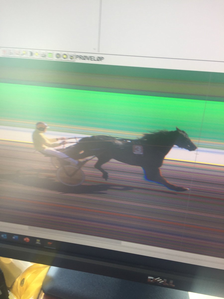 ola slaatsveen tweet media