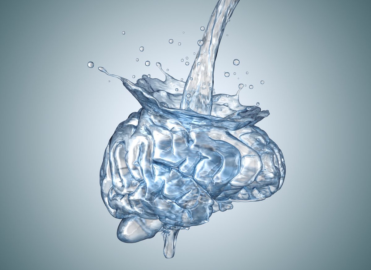 DrLenaDobson's tweet photo. EXCITING OPPORTUNITY! 
Are you an INS member, interested in brain injury, enjoy discussions and research collaborations with colleagues? Contact me at Dobson@scandicneuro.com to learn more! @INSneuro #BrainInjurySIG  #internationalneuropsychologicalsociety https://t.co/saVFhPKHN8
