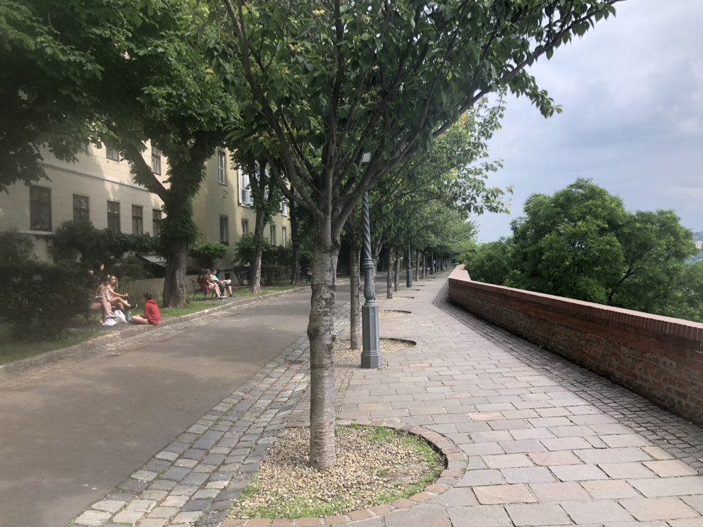 Loving Budapest in preparation for the WDSF presidium